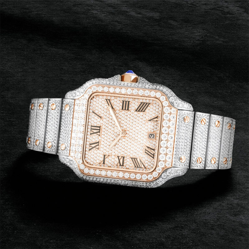 Luxury VVS Moissanite Watch Fo - Vvs Jewelry Watches 评论和价格